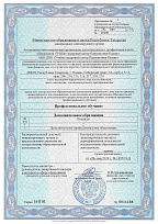 Приложение №1